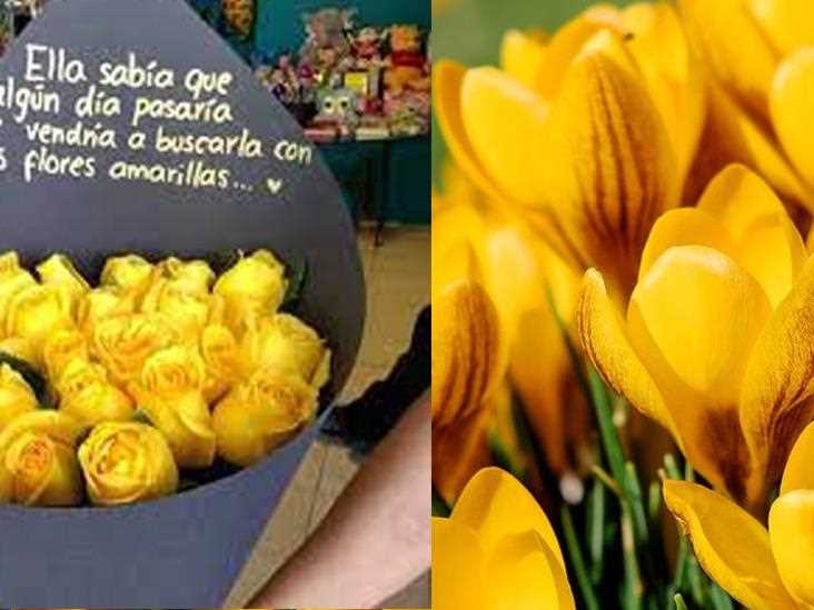 ¿Por qué se regalan flores amarillas el 21 de marzo?